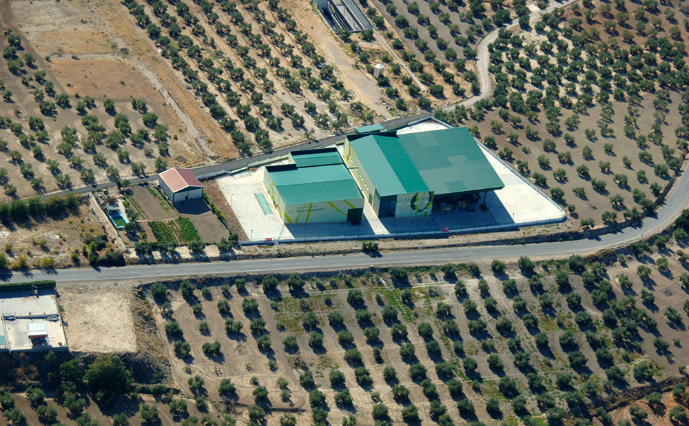 Cooperativa San Felipe